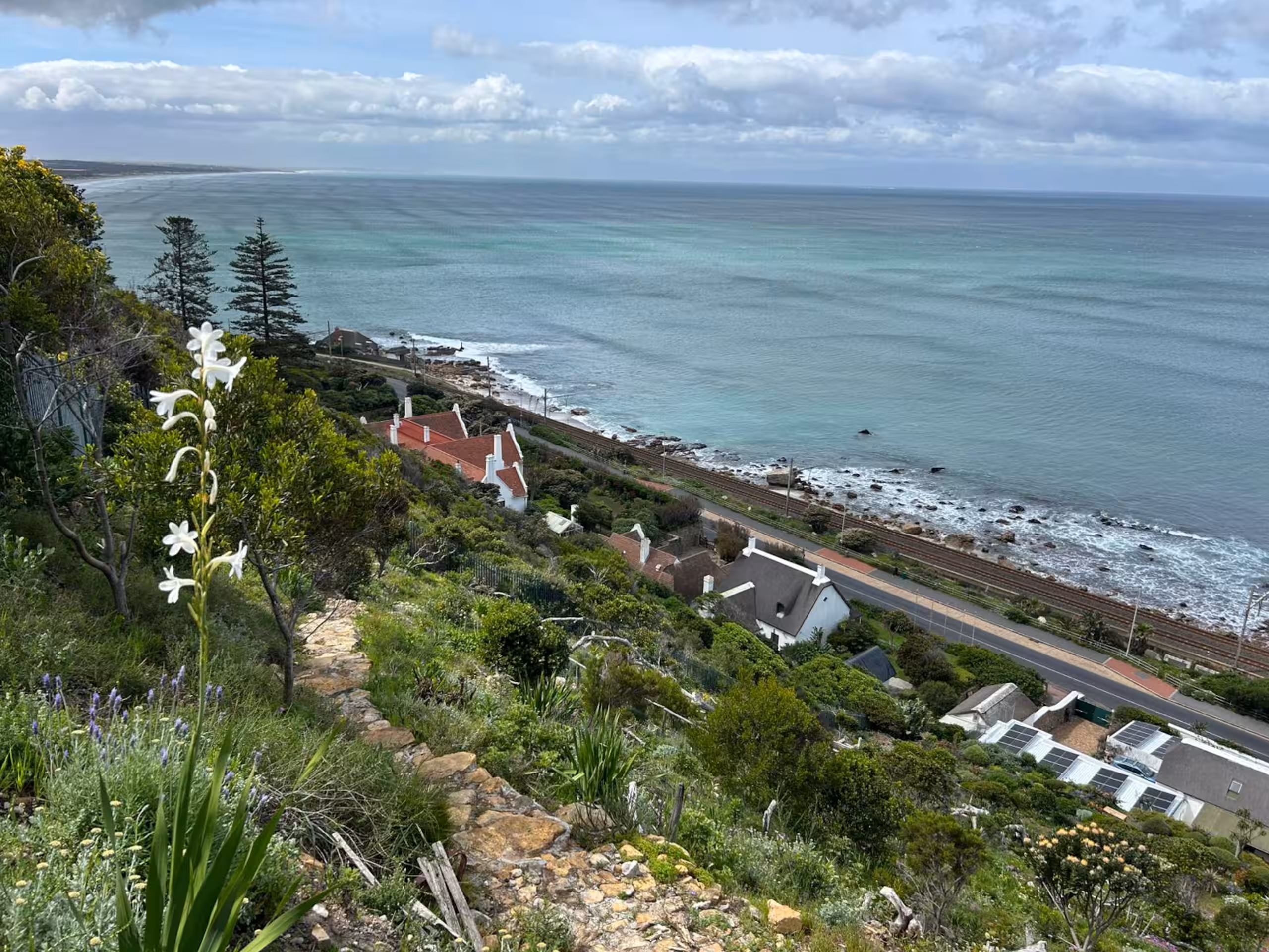 Indigenous fynbos and coastal flora at Long Cottage Stay